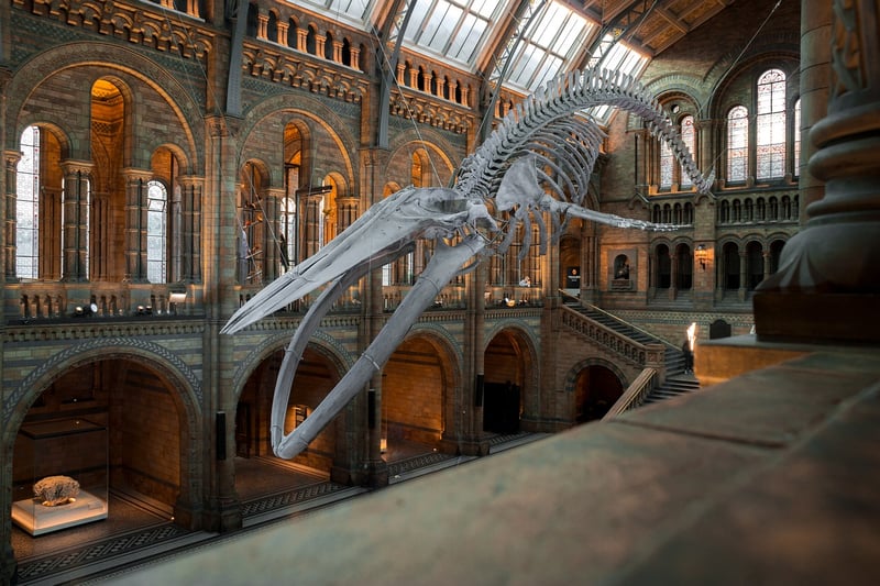Science Museum